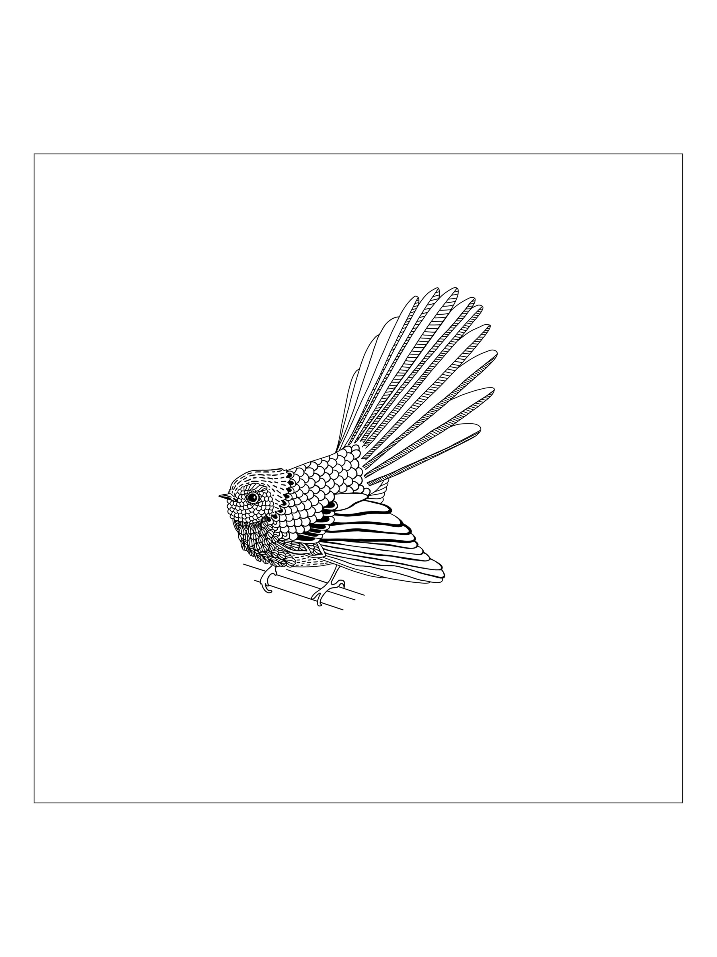 Fantail Art Print — Jennifer Greengrass